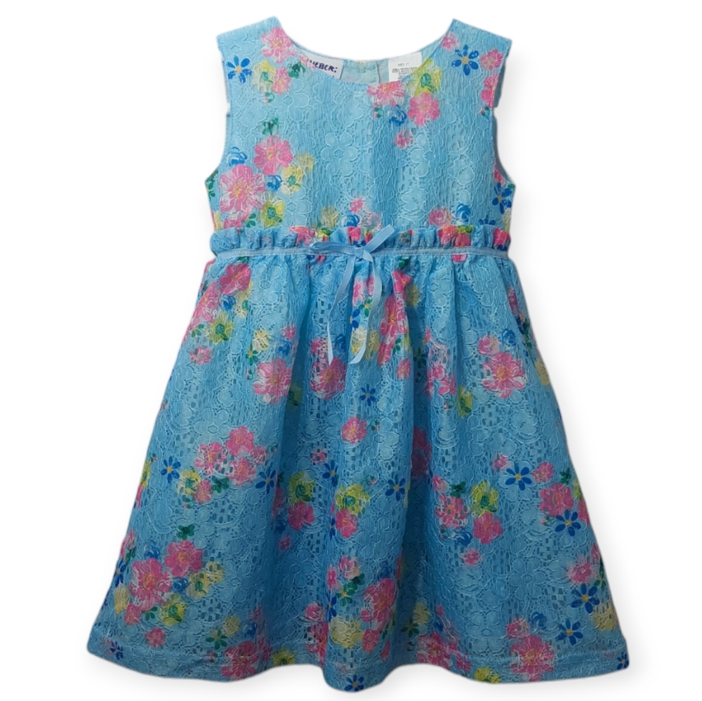 Blueberi Boulevard Little Girls Dress Sleeveless 2T Toddler Blue Floral